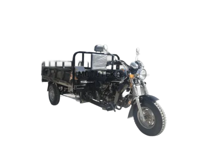 Трицикл грузовой Мотомир AGIAX 2 250 куб. см. ВОДЯН.ОХЛ. кузов 2м чёрный с ПТС